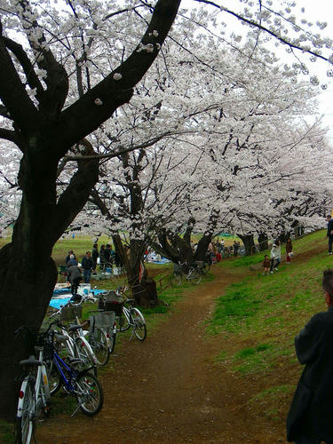 DSCN1394.jpg