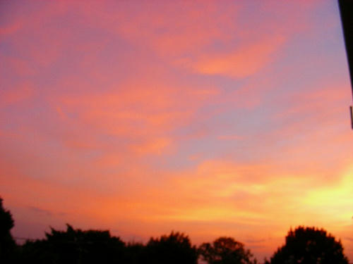 DSCN1446.jpg