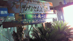 200907181946000.jpg