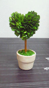 200907212032000.jpg