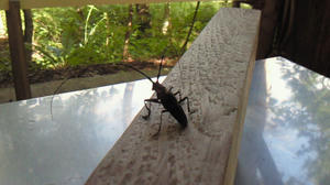 200907260821000.jpg