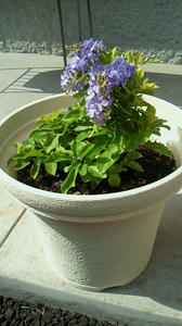 200909261252000.jpg