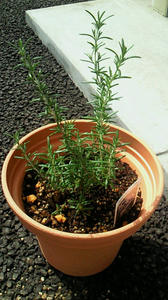 200909261250000.jpg