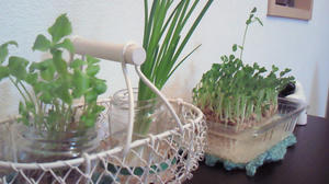 201001241709001.jpg