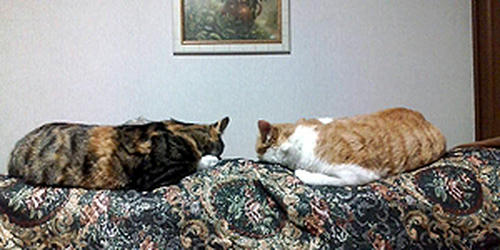090309.jpg