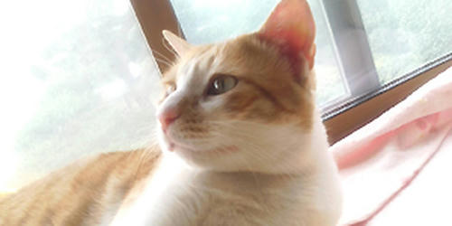 090506.jpg