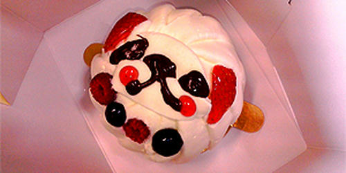 f52932d4.jpg