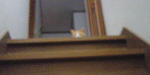 090901.jpg