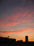 IMG_5803.jpg