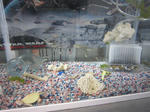IMG_2063.jpg