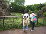 IMG_2128.jpg
