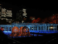 071227_007.jpg