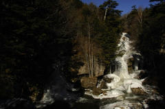 DSC_6285.jpg