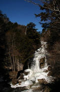 DSC_6324.jpg