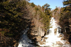 DSC_6347.jpg