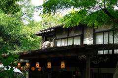 20080518_07.jpg