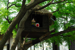 20080518_06.jpg