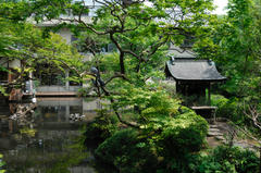 20080518_03.jpg