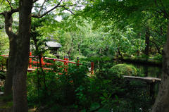 20080518_02.jpg