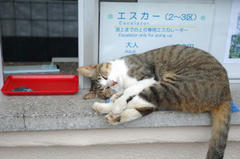 DSC_1215.jpg