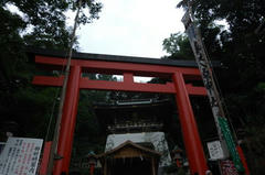 DSC_1204.jpg
