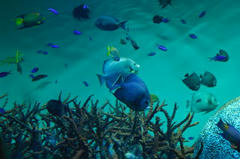 D2X_1328.jpg