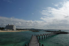 080830_010.JPG