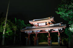 D2X_0259.JPG