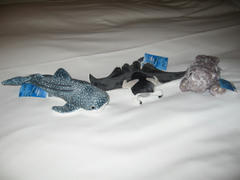 080901_008.JPG