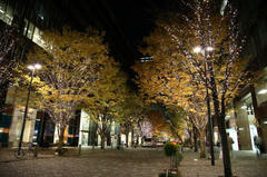 081129_MU01.JPG