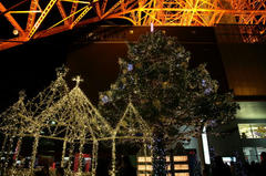 081129_TT06.JPG