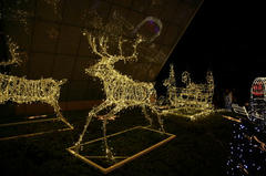 081129_TT05.JPG