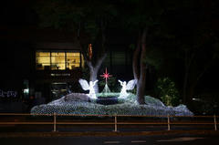 081129_TT03.JPG
