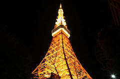 081129_TT02.JPG