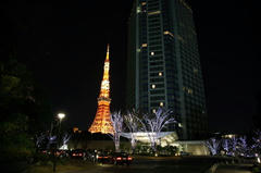 081129_TT01.JPG
