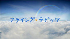 f000.jpg