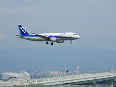 DPP_0843.JPG