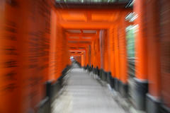 inari007.JPG