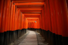 inari004.JPG