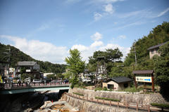 IMG_7856.JPG