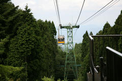IMG_7838.JPG