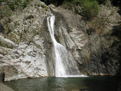 IMG_0036.jpg