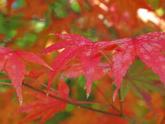 091121_001.jpg