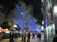091126_umeda_f28_1_40_1600.JPG