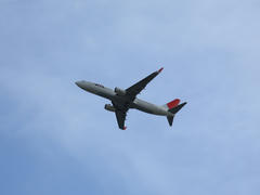 100213_006.JPG