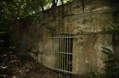 20100520_005.JPG
