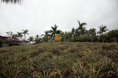 20100521_007.JPG