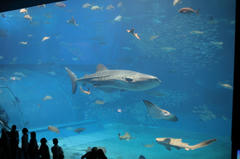 20100521_005.JPG