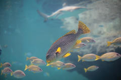 20100521_003.JPG