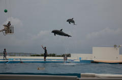 20100521_002.JPG